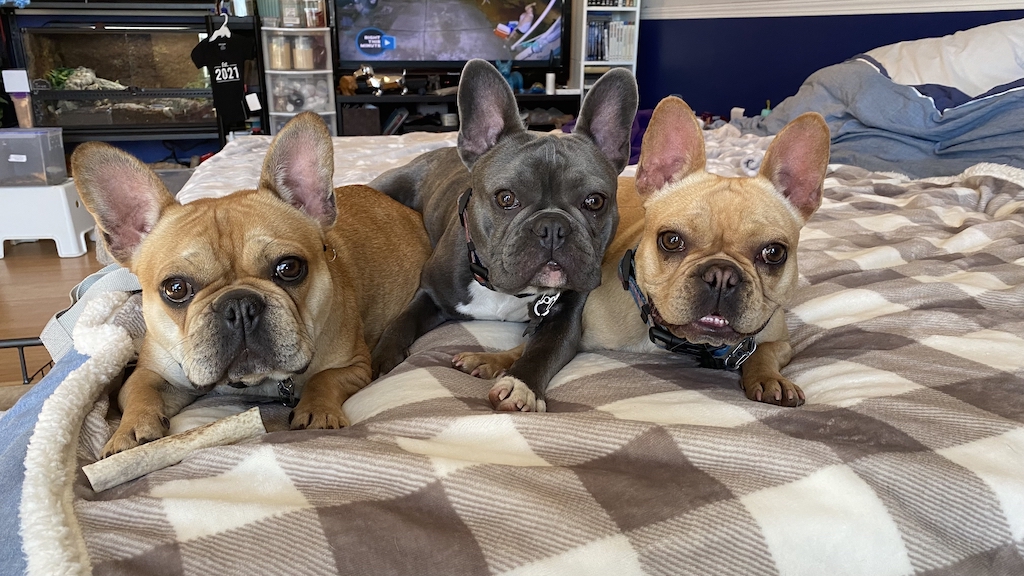 frenches 1