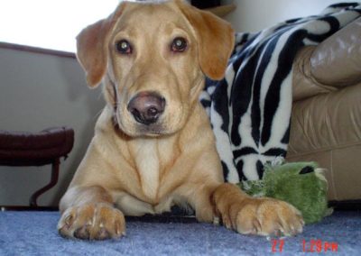 Rosco