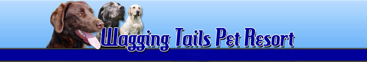 Wagging Tails Pet Resort